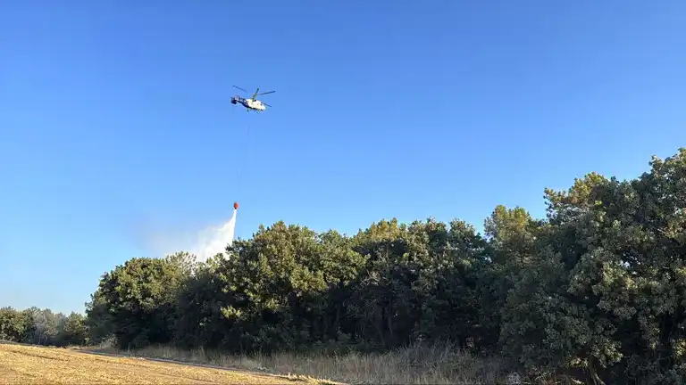 Çanakkale ve İzmir Yangınları Kontrol Altında Çanakkale ve İzmir Yangınları Kontrol Altında