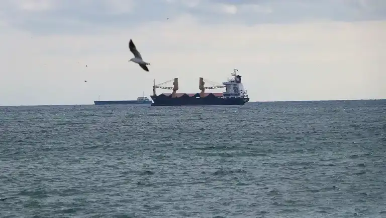 Tekirdağ'da Poyraz Deniz Ulaşımını Felç Etti